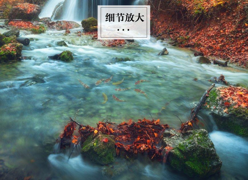 圆周率舞曲